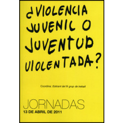 ¿Violencia juvenil o juventud violentada?